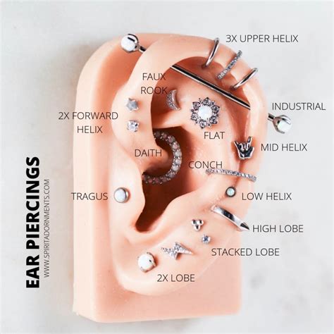 Piercing Jewelry & Earrings on Instagram: "Which ear piercings do YOU ...