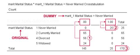 Image result for Dummy Coding Reference Group SPSS