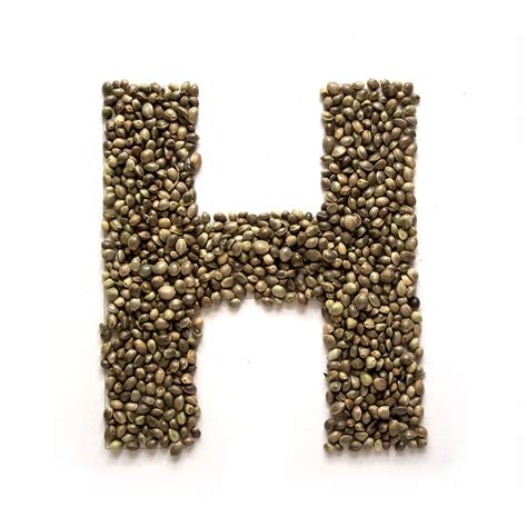 Hemp Seeds Oil – Vintage Aroma