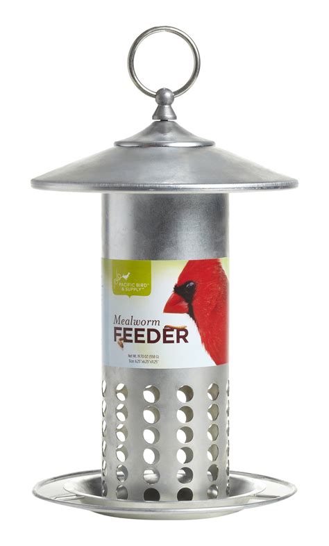 6 Best Bird Feeders for Mealworms (Proven And Reliable!)