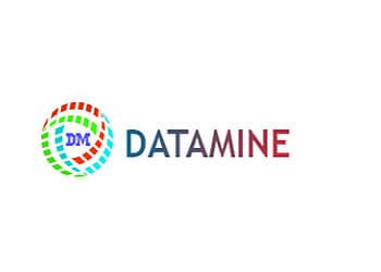 Image result for Datamine Services