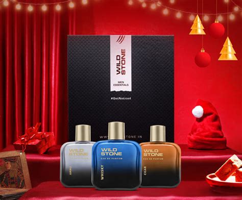 Style Guide – Wild Stone