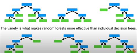 Image result for Google Colab Random Forest Predict