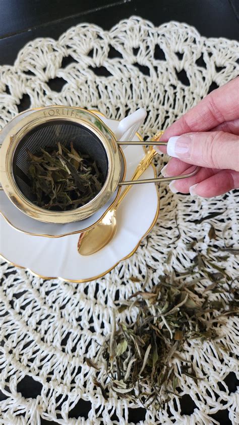 Is Tea Good for Plants? How to Use Tea Leaves for Fertilizer - Hen and Horse Design