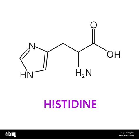 Amino acid chemical molecule of Histidine, molecular formula and chain structure, vector icon ...