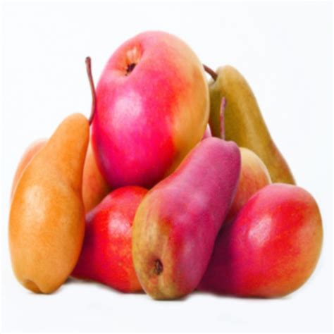 New FODMAP aSWAPP - your new best friend in a low FODMAP diet trial ...