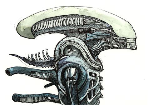Xenomorph Drawing Tutorial 的图像结果
