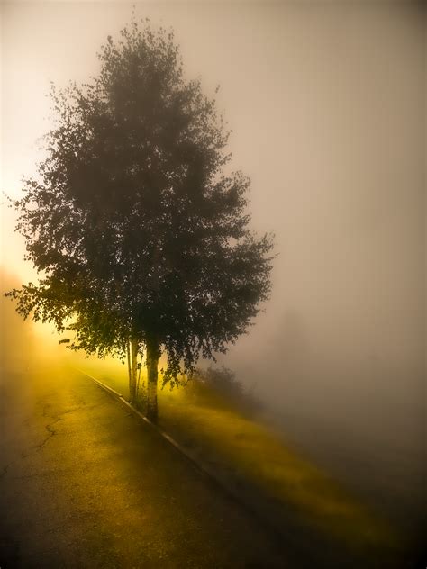 Sunrise in the fog - HUAWEI Community
