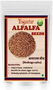 Buy YUGANTAR EDIBLE ALFALFA SEED - HEDGE LUCERNE SEEDS - MEDICAGO ...