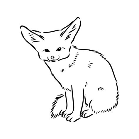 Vektorgrafik eines jungen Fennek-Fuchs-Wanderfuchs Fenek-Vektorskizze ...