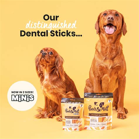 Healthy Dental Sticks for Small Dogs | Dental, Small dogs, Natural ...