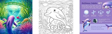 Sophie: The dolphin and the lost little fish storybook eBook : and ...