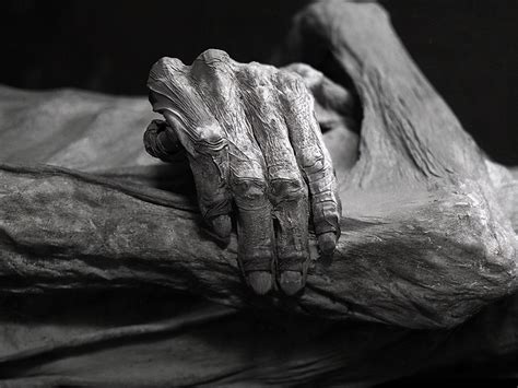 最恐怖的人体博物馆：保存着111具怪异的“尖叫木乃伊”|博物馆|木乃伊|霍乱_新浪新闻