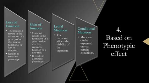 Image result for Sources of Mutation