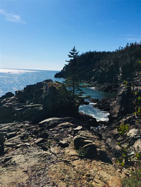 Quoddy Head State Park (Lubec, ME) – Hiking in Maine
