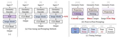 P3p Computer Graphics 的图像结果