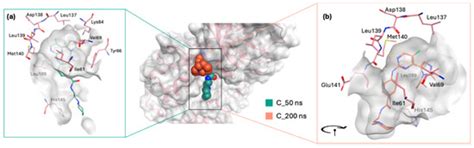 The Discovery of Small ERK5 Inhibitors via Structure-Based Virtual ...