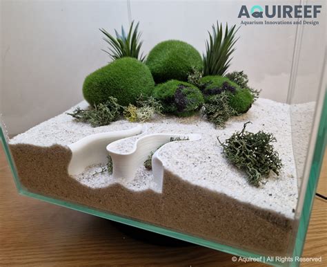 🌊 Wave Aquarium & Terrarium Cave | Fish, Amphibian, Reptile, Lizard ...