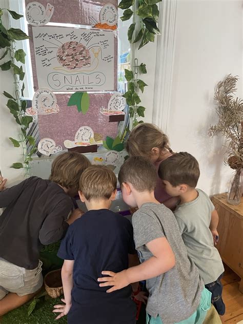 Image result for Snails Learning