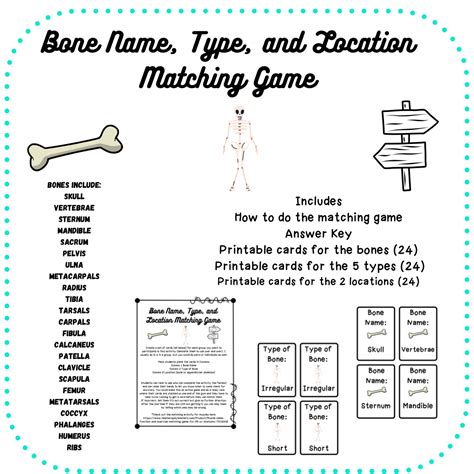 Bone Name, Type, and Location Matching Game | Matching games, Names ...