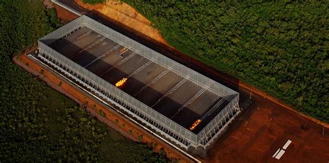 Image result for Mold Testing Flare