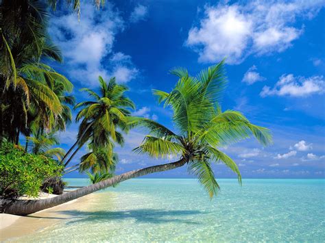 HD Wallpapers, HQ Free Images Download, Desktop Wallpapers: Beach Wallpapers 2013 - 2014