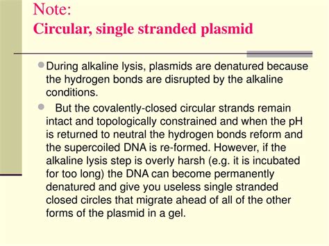 Image result for Restriction Enzyme Mapping