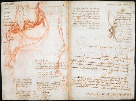 LOOK: Da Vinci's Digital Diaries Are Now Available | Leonardo da vinci ...