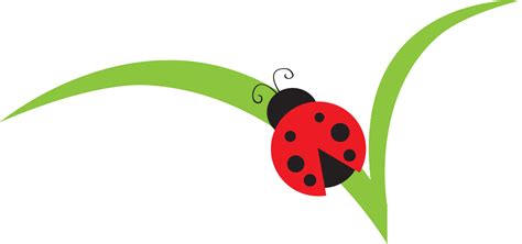 Lady Beetle Clipart Cute - Miraculous: Tales Of Ladybug & Cat Noir ...