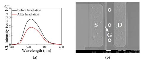 Proton Irradiation Effects on the Time-Dependent Dielectric Breakdown ...