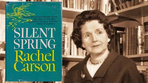 Silent Spring 的图像结果