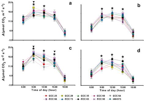 Photosynthesis-Related Responses of Colombian Elite Hevea brasiliensis ...