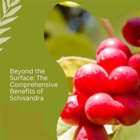 Schisandra Chinensis: The Age-Defying Secret | Clinikally
