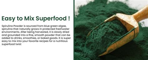 Vlado's Himalayan Organics Spirulina Powder (100g) | For Men & Women ...