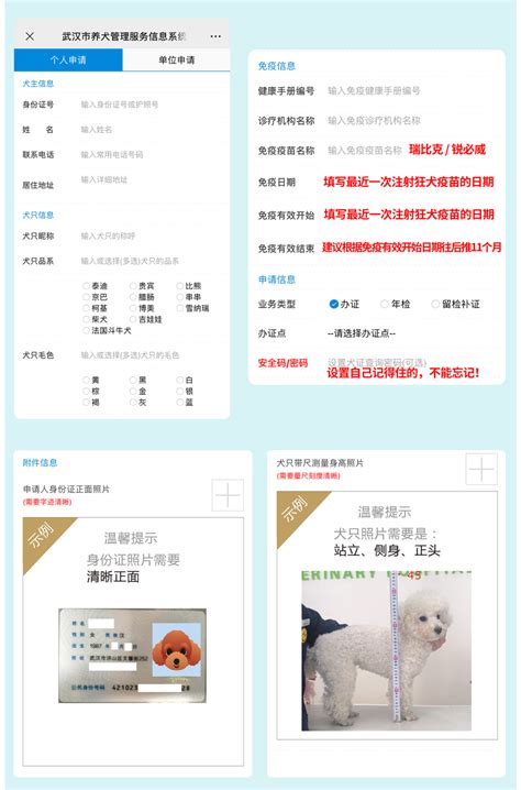 武汉市犬证办理超全攻略，帮你弄清狗狗办证那些事儿_监管_维宠宠物导航网