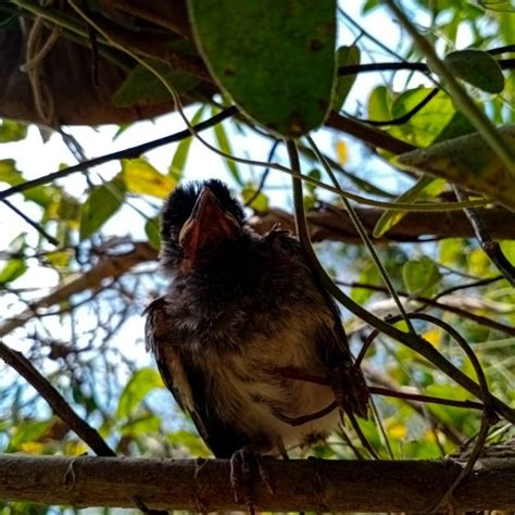 Re-Life Naturopathy Center