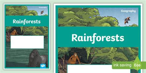 Rainforest Topic Editable Book Cover (teacher made) - Twinkl