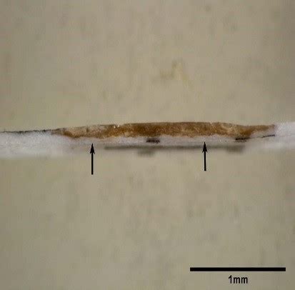 Image result for Highlight Paper Defect Detection