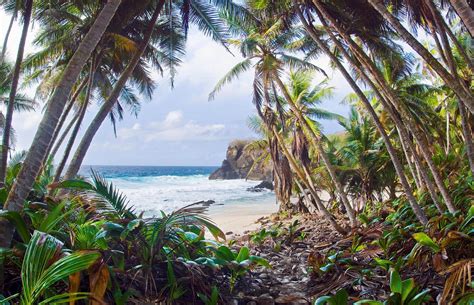 The most beautiful Australian islands everyone should visit