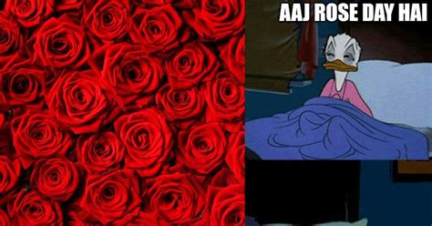 Rose day 2023 funny memes across twitter as singles brace for ...