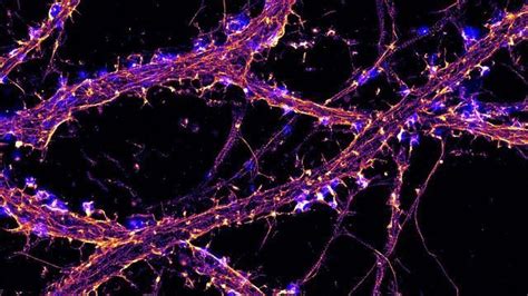 Image result for Super-Resolution Microscopy