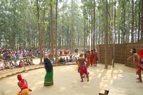 Finding Meaning in the Mahua and the Sal Tree - The Wire