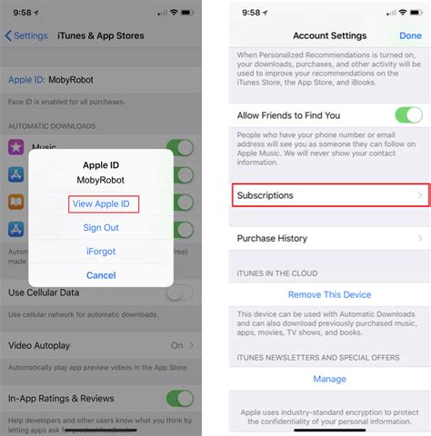 Image result for How to Add Subscriptions to iOS Settings