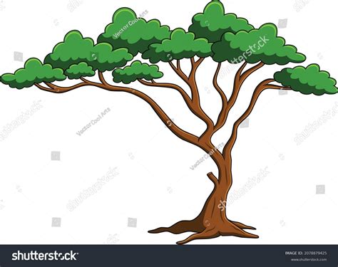 Image result for Simetric Tree Cartoon