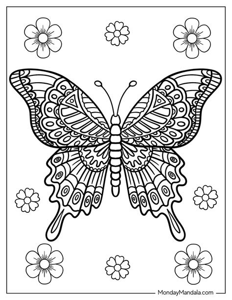 Image result for Butterfly Patterns