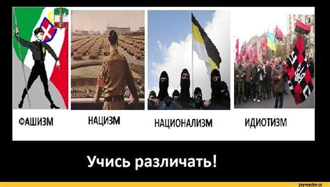 Чем отличается нацист от националиста