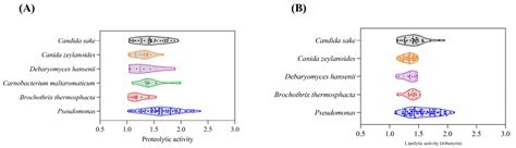 Insights into Microbial Community and Its Enzymatic Profiles in ...