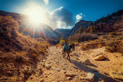 White Mountain Horseback Ride | EastZionAdventures