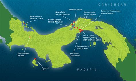 About Us | Smithsonian Tropical Research Institute