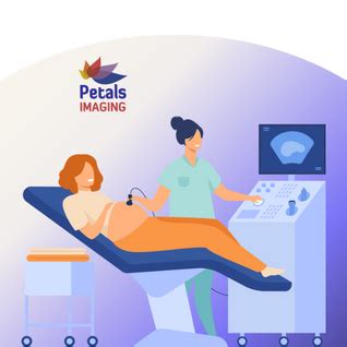 Fetal Growth Scan (28–32 weeks) - Petals Health